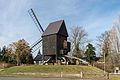 Bockwindmühle in Brehna