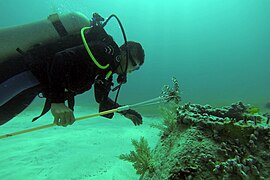 Investigación sobre el pez león en el Caribe mexicano.