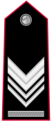 brigadiere