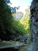 Mada Gorge (Cheile Măzii or Madei) in the Metaliferi Mountains