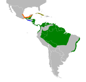 Distribución geográfica del mielerito patirrojo.