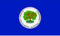 Bandera del departamento de San Vicente
