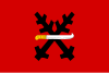 Flag of Vojnův Městec