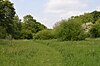 Hawkenbury Meadow