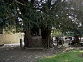 La Haye-de-Routot : oratoire dédié à Notre-Dame-de-Lourdes.