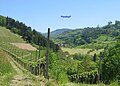 Mittelbachtal bei Reichenbach und der Mooskopf im Hintergrund