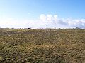 Paythorne Moor