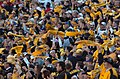 Image 35Pittsburgh Steelers' fans waving the Terrible Towel, a tradition that dates back to 1975 (from Pennsylvania)