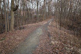 Railroad Street Dam