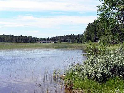 Floresta com lago em Rullbosjön