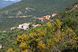 Sari d'Orcino – Veduta