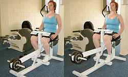 Seated calf raise machine.