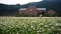 滋賀縣立安土城考古博物館