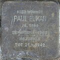 Paul Elkan