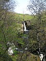 At the middle part of Tairlaw Linn – viewed here from the north bank through the woodland – the Water of Girvan splits into several short waterfalls. Below this, the waterfall makes a spectacular drop into a deep plunge pool.