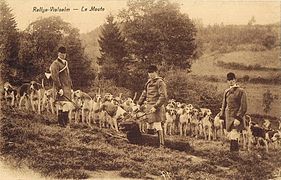 Le Rallye, la meute et son cerf.