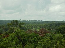 Woodland in Guinea Savanna