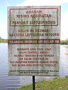 A sign warning against swimming in a lake with pathogenic Leptospira in Sarawak, Malaysia.