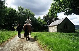 Balade dans la campagne bretonne à la chapelle de Pénity sur la commune de Bourbriac (22).