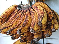 A non-desirable enzymatic browning reaction is involved in the formation of brown spots on the peel of bananas.