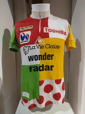 Multi-coloured cycling jersey on an upper-body mannequin