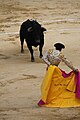 Gaoneras de Juan de Castilla (torero) en la Segunda de Abono de la Santamaría de Bogotá en 2018