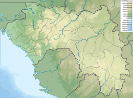 Mount Nimba is located in Guinea