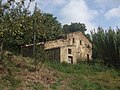 Masseria Di Giacinto, antica casa contadina diruta in contrada Colle Marmo