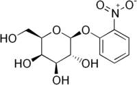 Image illustrative de l’article Ortho-nitrophényl-β-galactoside