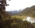 Looking north over the "Mānuka Flats"