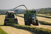 Silage harvesting