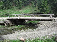 petit pont,