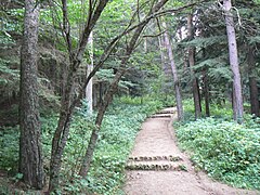 Alley in Dendropark