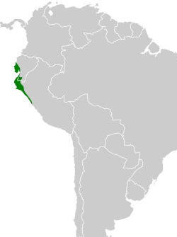 Distribución geográfica del batará collarejo.