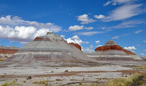 Petrified Forest National Park, by Finetooth