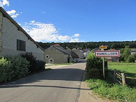 Vignes-la-Côte