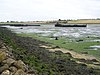 Medway Estuary and Marshes