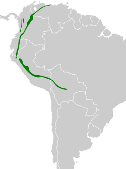 Distribución geográfica del trepatroncos dorsioliva.