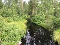 Река Суованйоки. Вид против течения