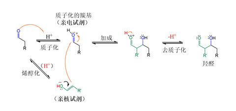 酸催化下的醛自身缩合机理