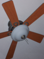 Ceiling fan. Ceiling fan