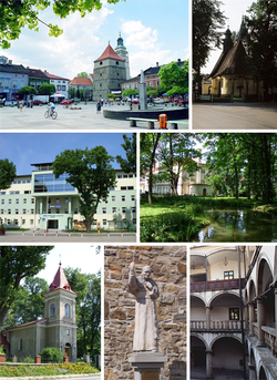 Top left: Market square with cathedral bell tower Top right: Holy Cross Church Middle left: Beskid Wyzsza University Middle right: Zamkowy Park Bottom left: Saint Mark Church Bottom middle: Monument of Pope John Paul II Bottom right: Old Castle
