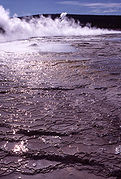 Giantess Geyser terraces, 1977