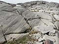 Dos de baleine strié dans le parc national du mont Rainier aux États-Unis.