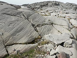 Jäätikön uurtamaa kalliota, Observation Rock, Mount Rainier National Park, Washington, Yhdysvallat.