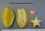 楊桃 Star fruit