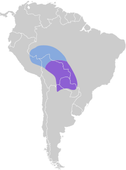 Distribución geográfica del piojito picudo.