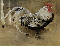 Spangled Cock, 1903