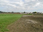 Shinmei Shell Mound