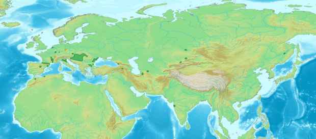 Karte von Eurasien mit eingezeichneter Verbreitung des Auen-Blätterporlings